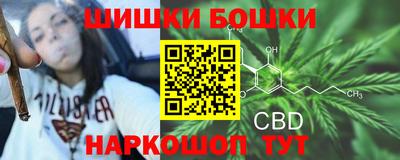 spice Партизанск